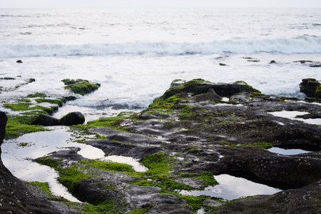 Beautiful moss on coral and stone on the coastline beach with storm wave on Indian ocean in Bali, Indonesiaの写真素材