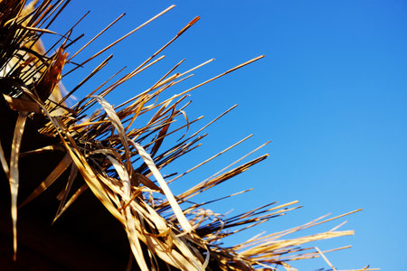 Close up eaves of a dry thatched roof of tradition house with sunny and blue sky in Thailandの写真素材