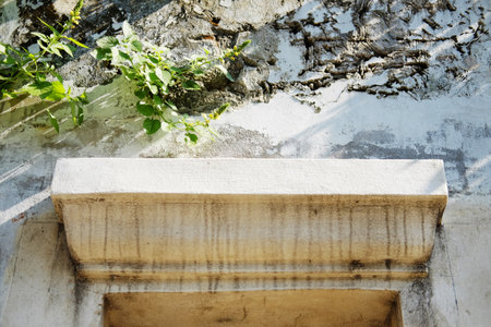 Close up vintage antique decorative stucco window frame with green creeper and ivy cover on grunge concrete wall exterior in natural sunlight in Bangkok of Thailandの写真素材