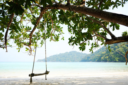 Wooden swing hanging on big tree over beach sea on summer in Thailandの写真素材