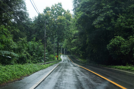 Winding mountain road passes through lush tropical forest on a rainy day in Thailandの写真素材