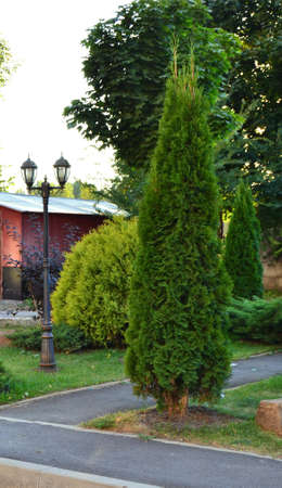 landscapeのeditorial素材