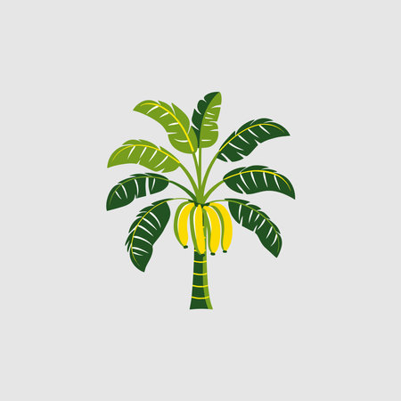 Banana tree icon. Gray background with green. Vector illustration.のイラスト素材