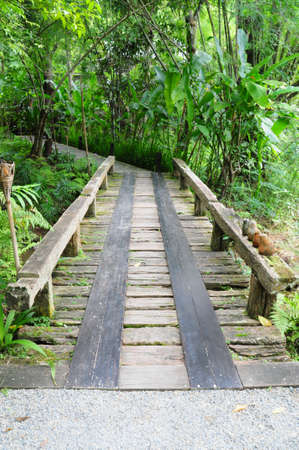 wood bridgeの写真素材