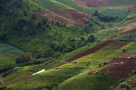 Farm in the moutain