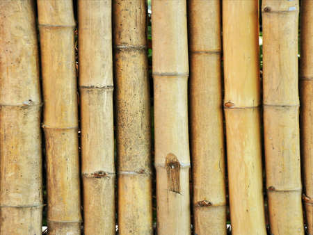 bamboo fenceの写真素材