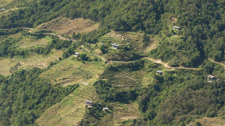 Village and rice field.. Kingdom of Bhutan. Asiaの写真素材