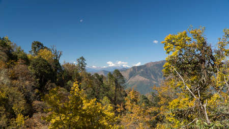 Mountains and forest. Kingdom of Bhutan. Asiaの写真素材