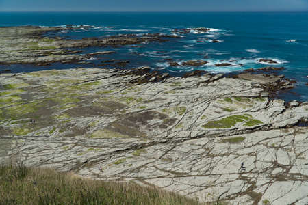 Rocky coast in Kaikoura, New Zealand. の写真素材