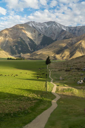 Castle Hill. South Island. New Zealand
