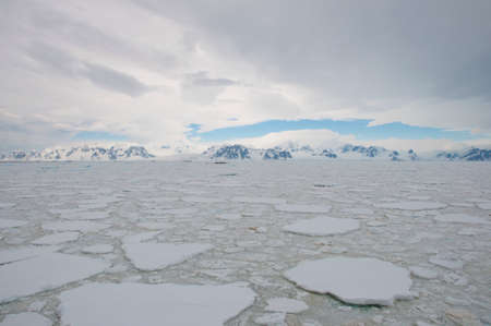 Frozen ocean in Antarctic
