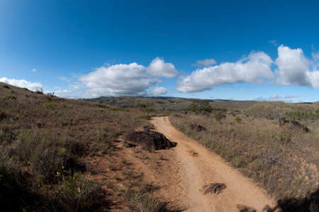 Path to the Roraima plateau. Venezuelaの写真素材