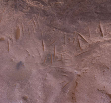 Ancient rock art in Sahara Desert, Algeria