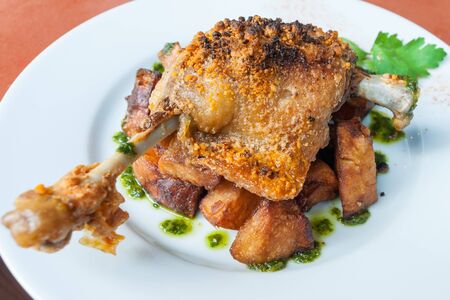 Confit de Canard  Duck confit   France food.の写真素材