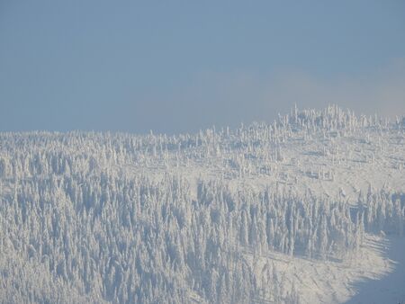 Landscape view at winter carpathian sightの写真素材