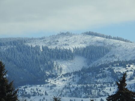 Landscape view at winter carpathian sightの写真素材
