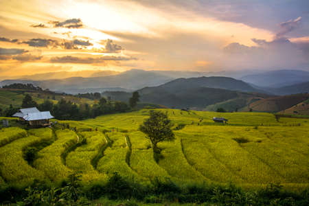 Rice field terrace with sunset sceneの写真素材