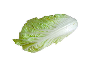 Chinese cabbage isolated on white background (Brassica rapa subsp)の写真素材