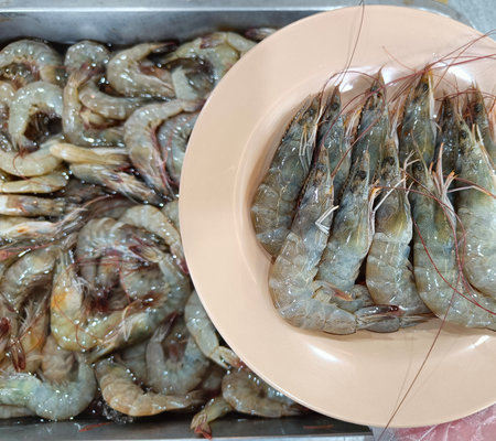 Close up Fresh raw shrimp on pink plate.Top view.の写真素材
