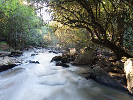 small stream near Sridit Waterfall in the forest at Khao Kho, Phetchabun Province, Thailand.