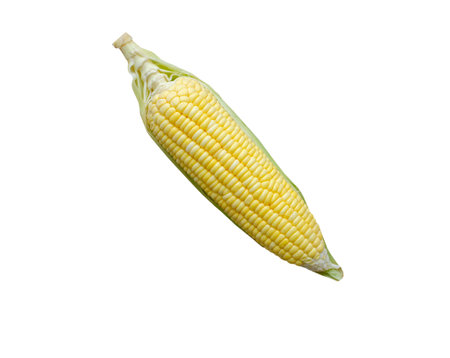 Top view one corn isolated on white background with clipping pathの写真素材