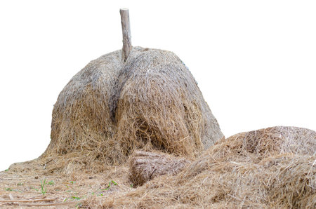 yellow haystack or straw isolated on white background with clipping pathの写真素材