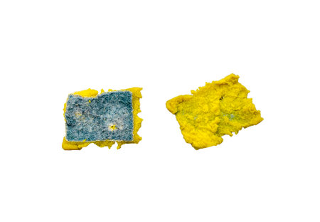 sponge for washing dishes, old yellowed and green sponge that has been used isolated on white background with clipping pathの写真素材