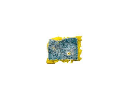 sponge for washing dishes, old green sponge that has been used. isolated on white background with clipping pathの写真素材