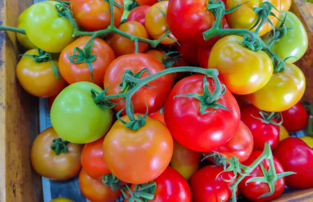 Tomatoes lying on a pile sale in market, tomato texture.の写真素材