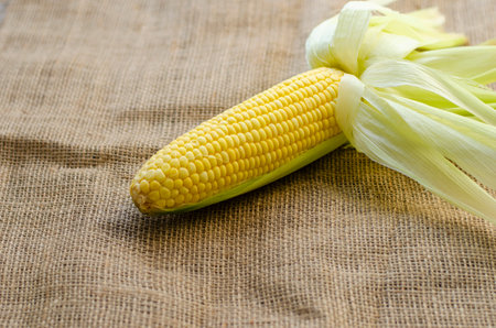 Single corn cob on brown sackcloth background. side view