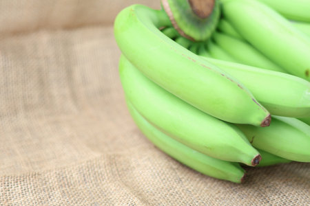 Side view of Bunch raw and green banana. copy spaceの写真素材