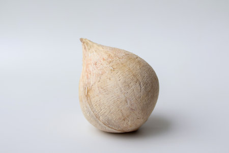 Front view of a one coconut on a white background