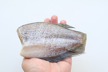 Snakeskin gourami on hand on white background