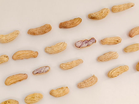 Top view of peanuts arranged in a pattern against a white background.の写真素材