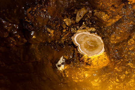 Carbonate concretes in Corchia caveの写真素材