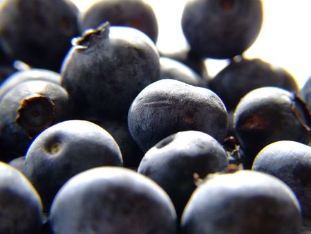 close up of blueberrys with Natural Day Light.の写真素材