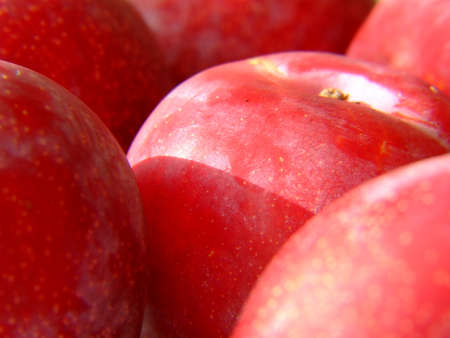 pairs on white 3の写真素材