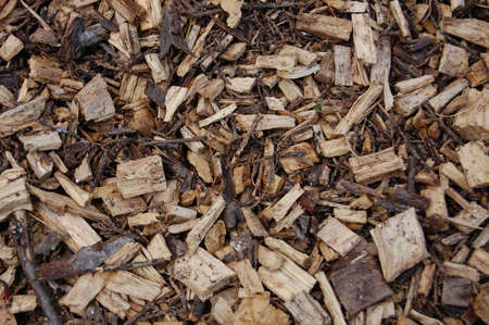      a floor texture / pattern of some wood chips and bark                               