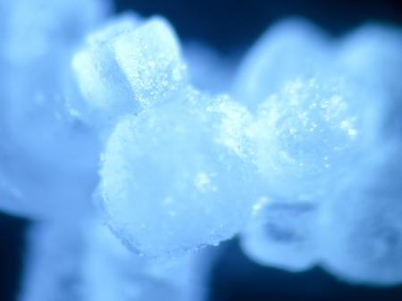 Salt Grains - Under Microscope