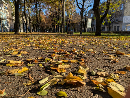 A park path with yellow leaves. Low angle shot above the ground. A combination of macro photography and the perspective of a landscape alley. Autumnal turbulence with drying leaves blowing in wind.の写真素材