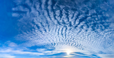Gorgeous, wide fan of cirrus clouds. Structure feather unfolds panorama. Majestic peacock tail made...