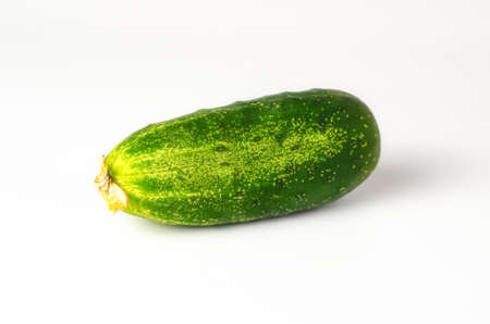 Fresh cucumber backgroundの写真素材