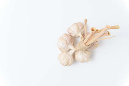 Closeup Garlic clove and bulb isolated on white background.の写真素材