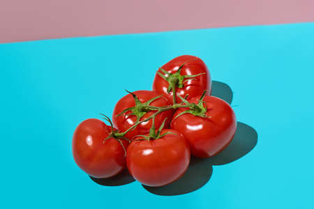 A bunch of fresh tomatoes isolated on a blue and pink background with a deep shadow. Close up, copy space.の写真素材
