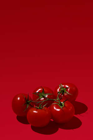 A bunch of tomatoes isolated on a red background with a deep shadow. Close up, copy space.の写真素材