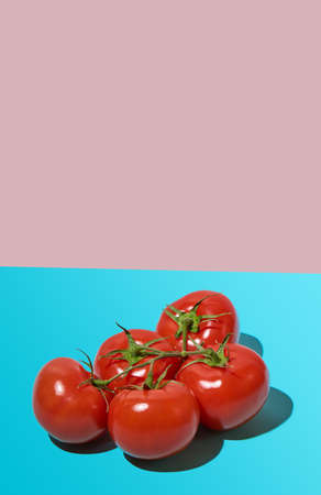A bunch of fresh tomatoes on a pink-blue background. Hard light, deep shadow. Close up, copy space.の写真素材