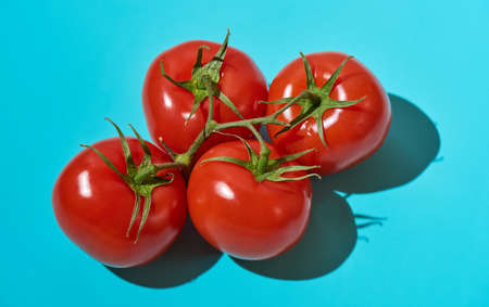 A bunch of fresh organic red tomatoes on a blue background. Hard light, deep shadow. Close up, copy space.の写真素材