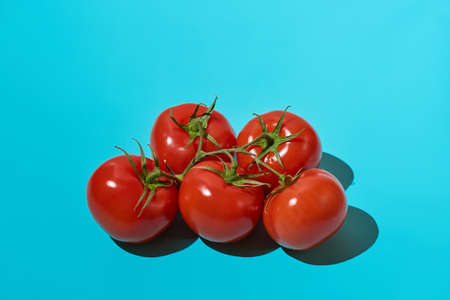 A bunch of ripe fresh red tomatoes is isolated on a bright blue background. Bright light, deep shadow. Close up, copy space.の写真素材