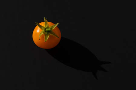 Illuminated by the bright sun, a yellow cherry tomato lies on a graphite-colored background. Close up, copy space, top view.の写真素材