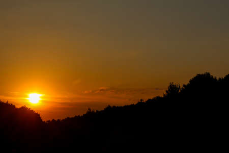 Backlit trees during sunset with cloudy sky - orange sunsetの写真素材